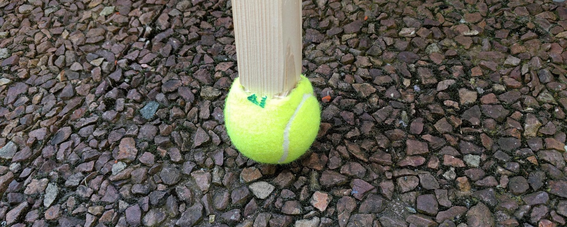 pied quillon echasse